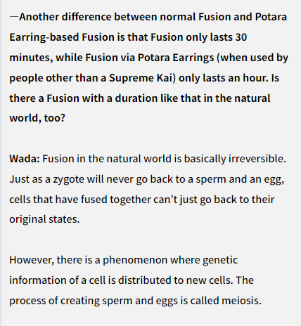 Wada via Dragon Ball Interview zur Dauer der Fusion